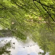 Cramond Brig